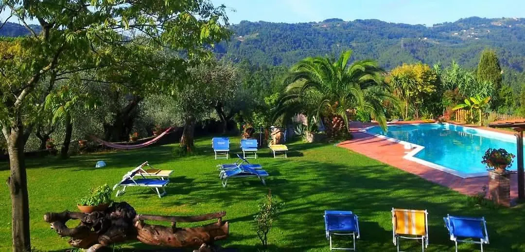 Il Carnasciale Pieve Di Camaiore - Fienile Italy